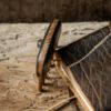 Image de Peigne pirate